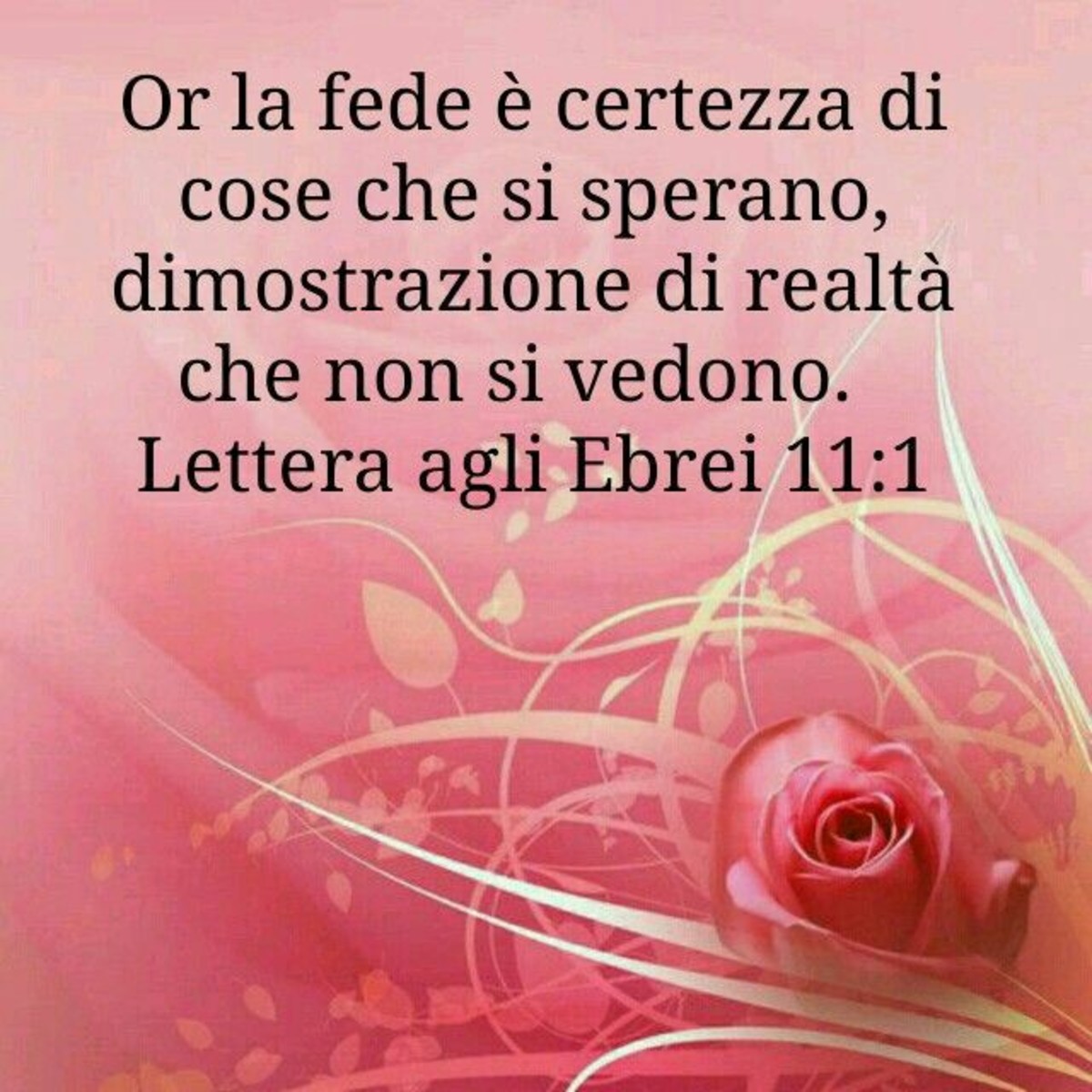 Bibbia Versetti Facebook 6978