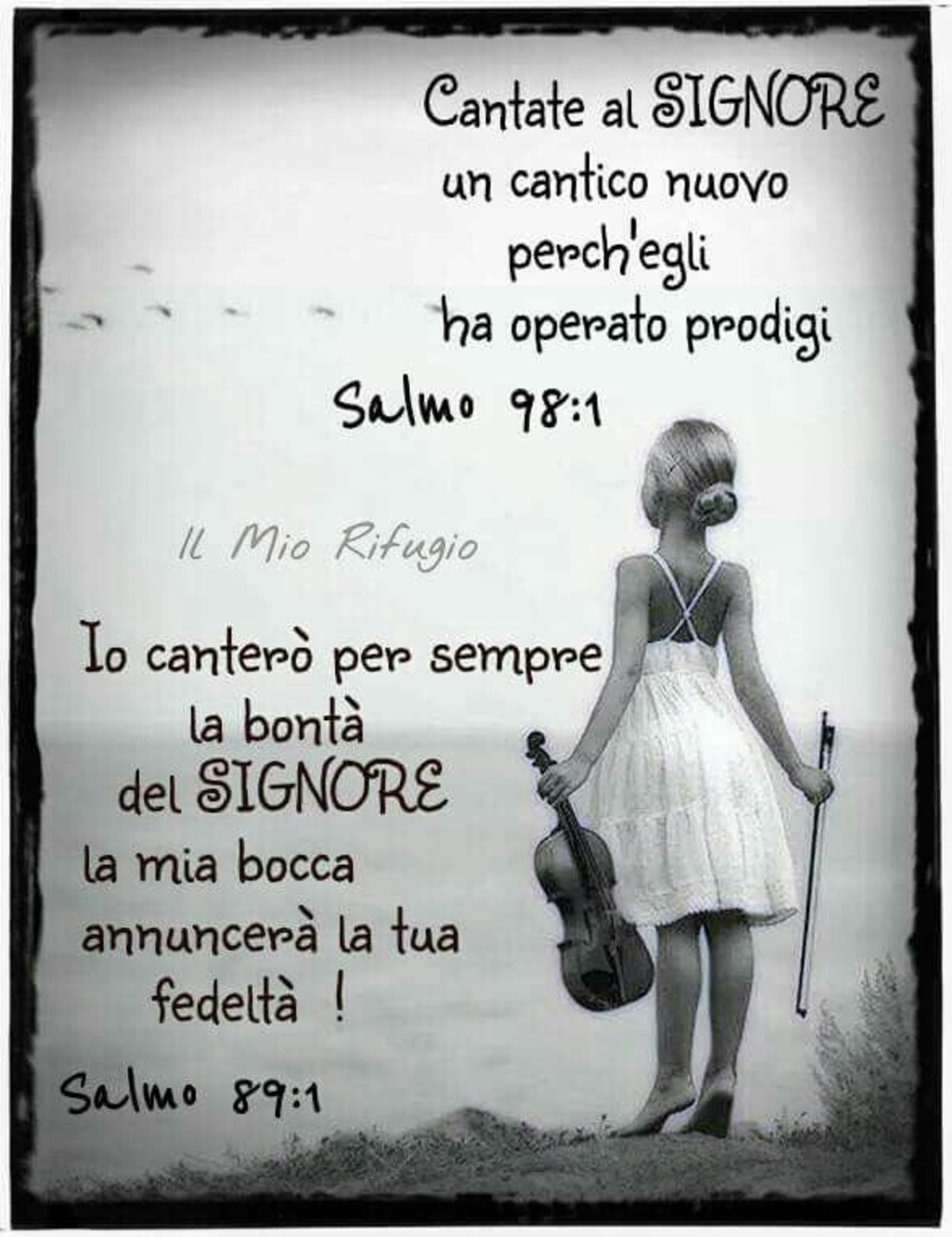 Bibbia Versetti Facebook 6989
