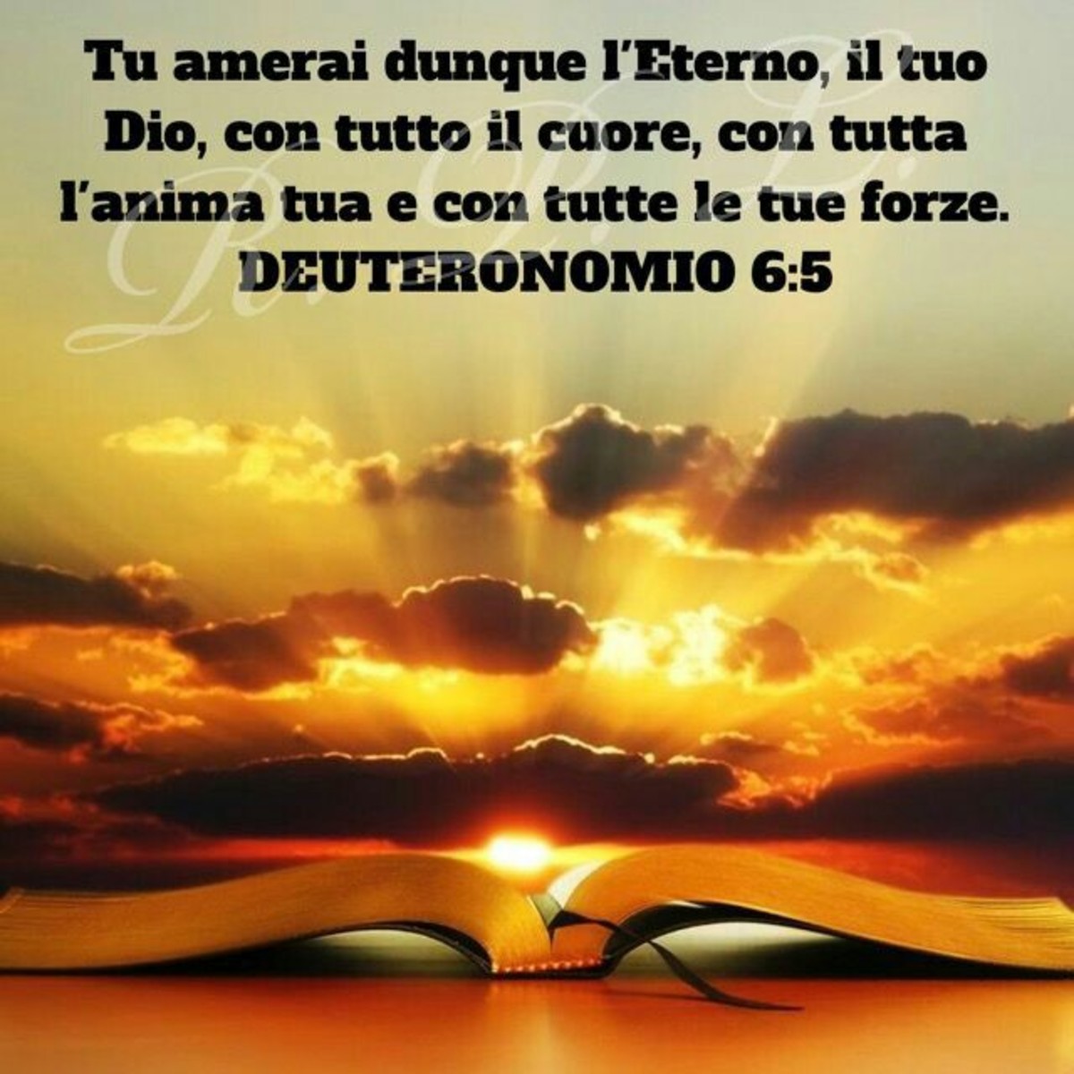 Bibbia Versetti Facebook 7093