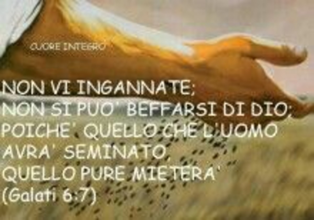 Bibbia Versetti Gruppi WhatsApp 7392