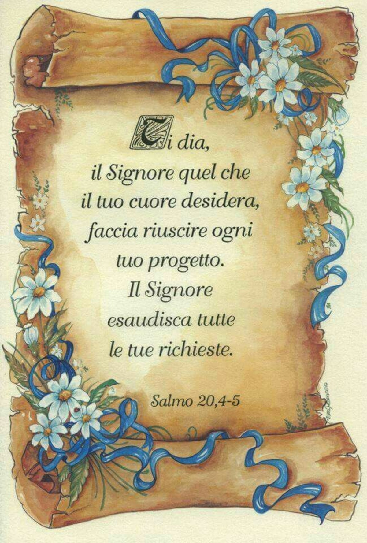 Bibbia versetti 6662
