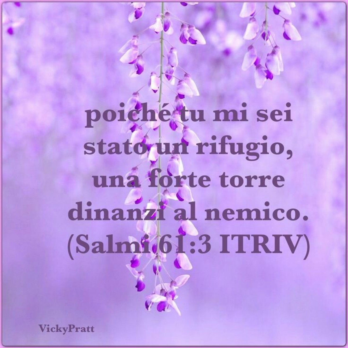 Bibbia versetti 6740