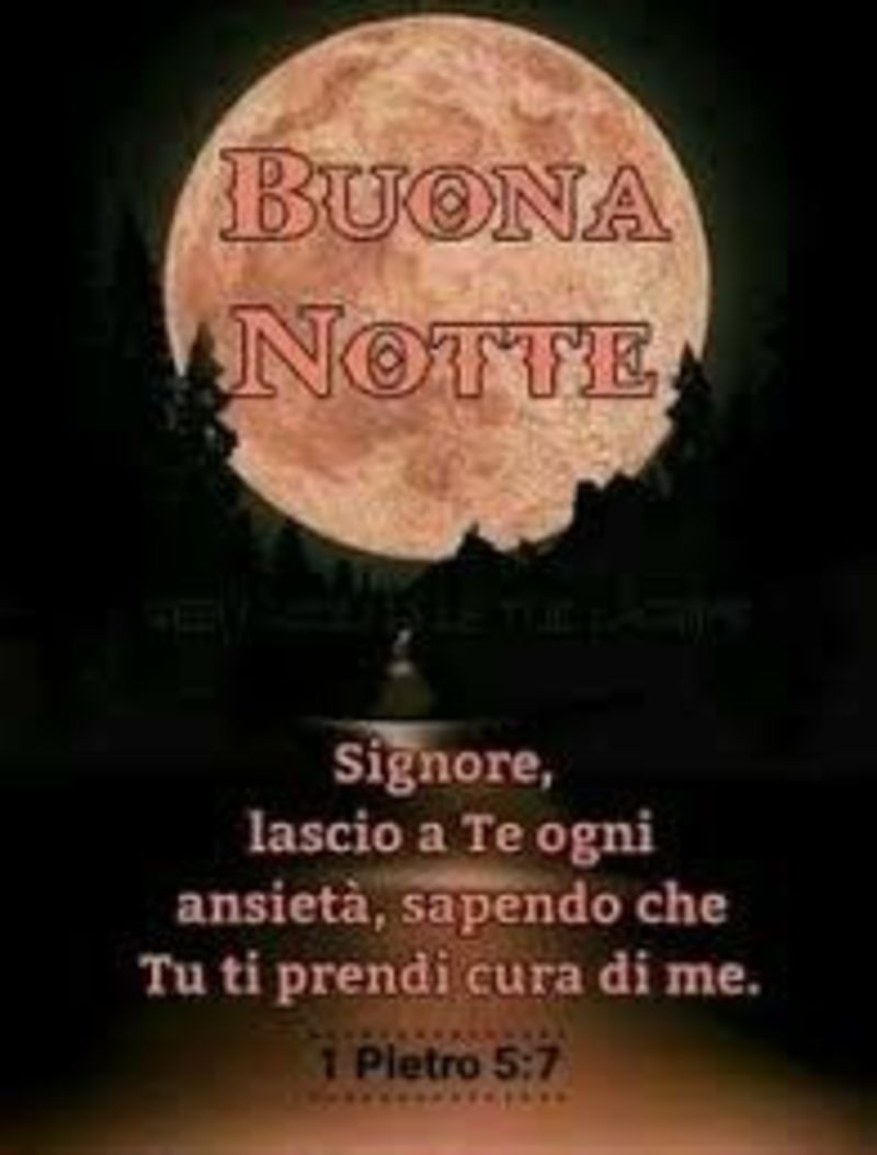 Buonanotte Dio vegli su di voi (4)