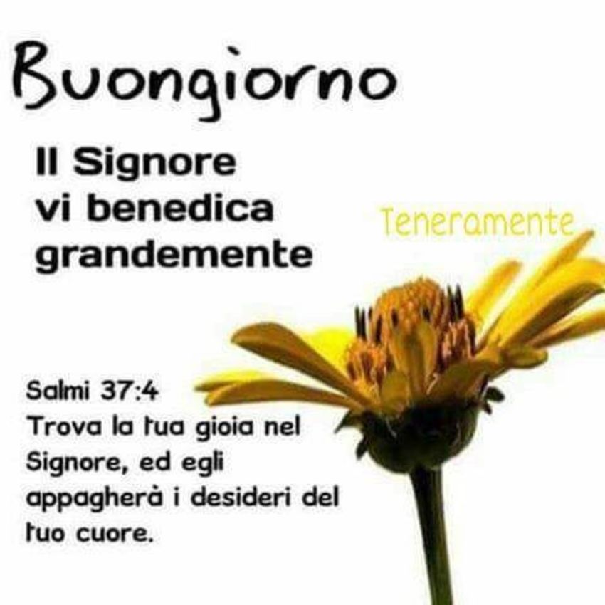 Buongiorno con Dio 1019