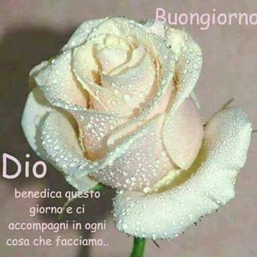 Buongiorno con Gesù 224
