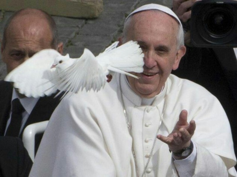 Citazioni del Papa Francesco 1830