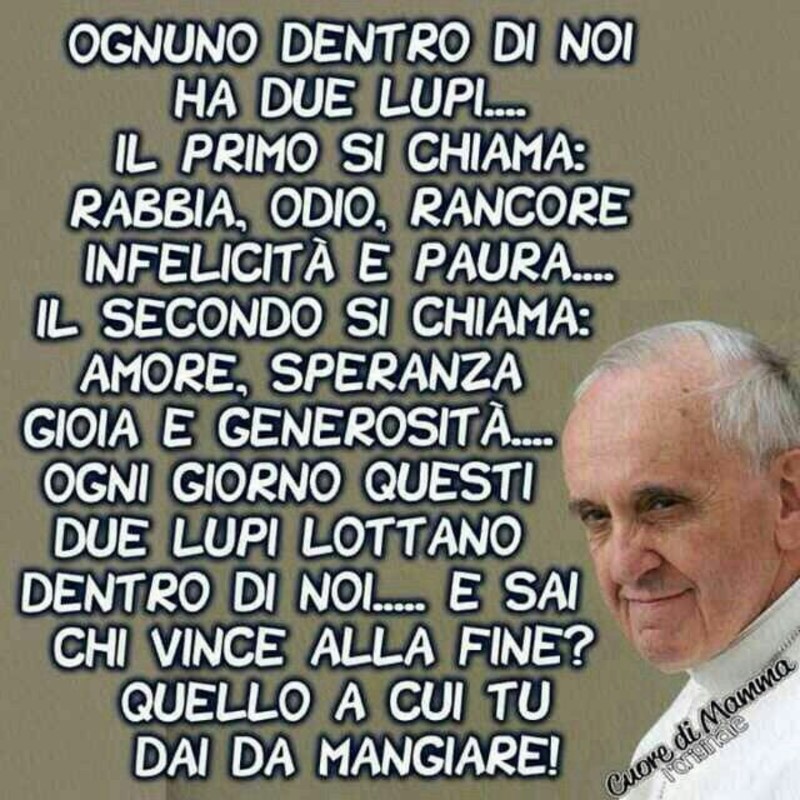 Frasi del Papa Francesco 2109