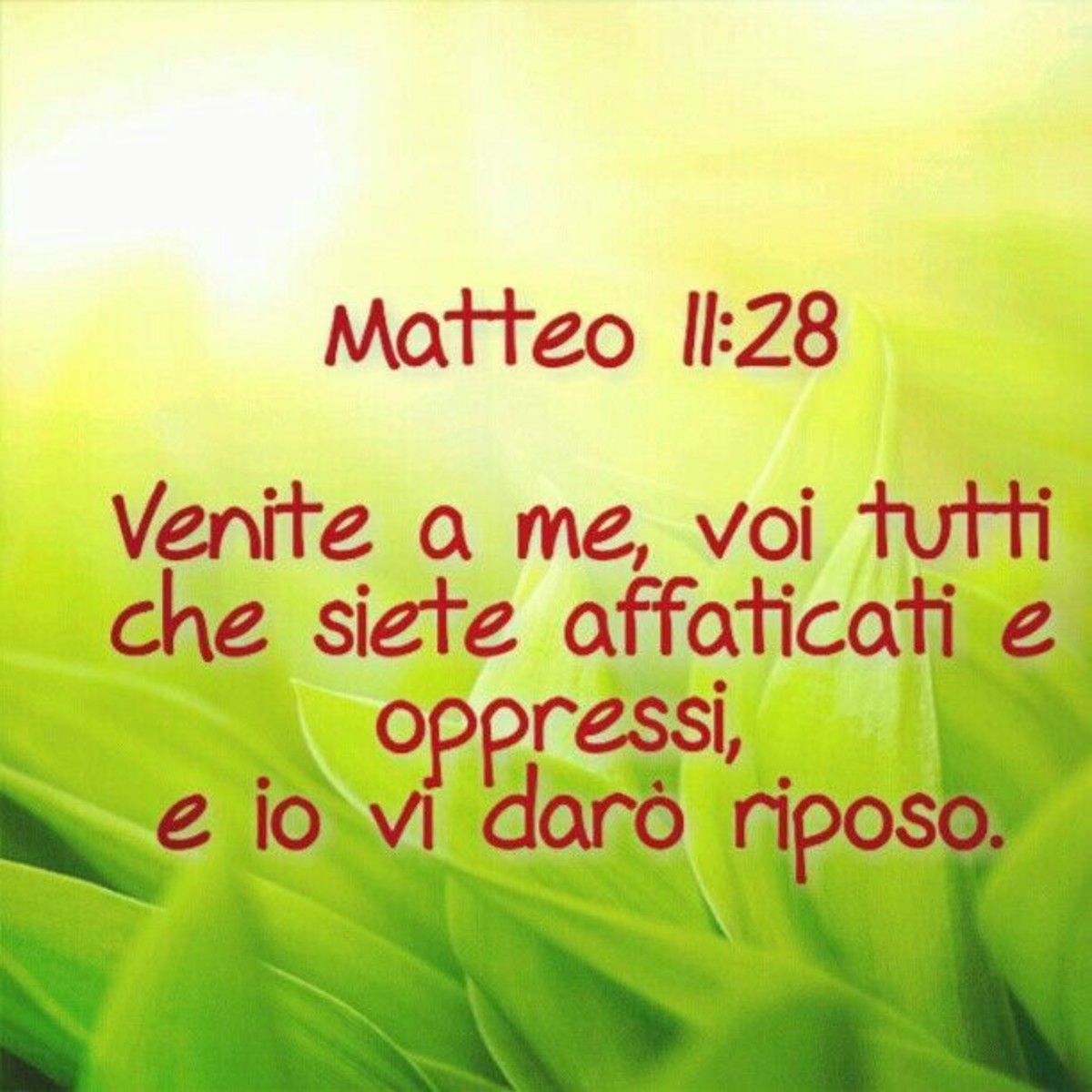 I Salmi Biblici più belli 2973