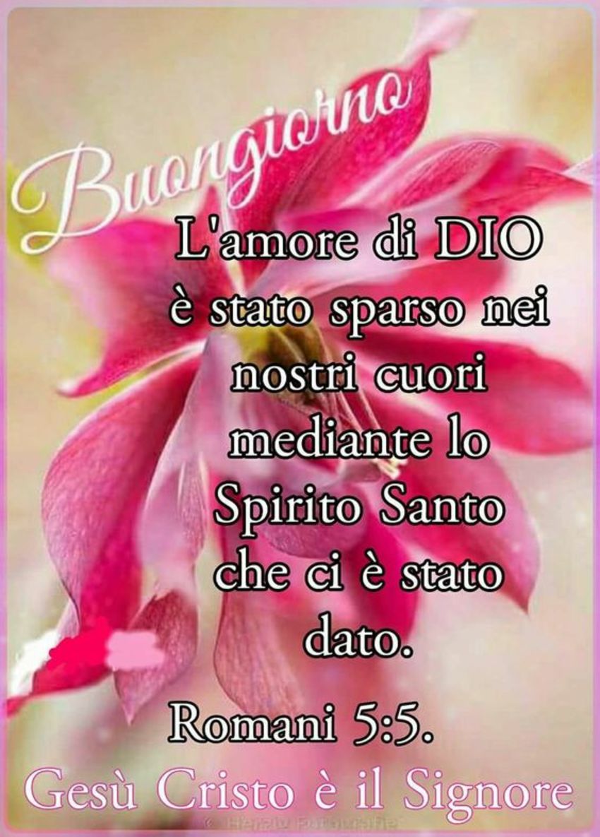 Immagini Buongiorno Cristianesimo (1)