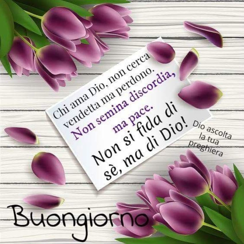 Immagini Buongiorno Archives Pagina 2 Di 4 Gesutiama It