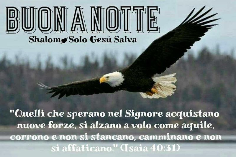 Immagini della Buonanotte con Dio da mandare Facebook 6032