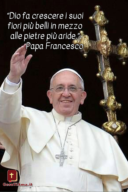 Le bellissime citazioni del Papa Francesco