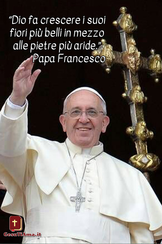 Le Bellissime Citazioni Del Papa Francesco Gesutiama It