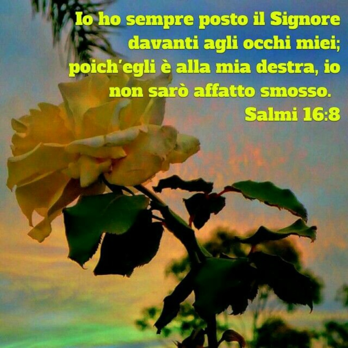 Salmi Bibbia 6141
