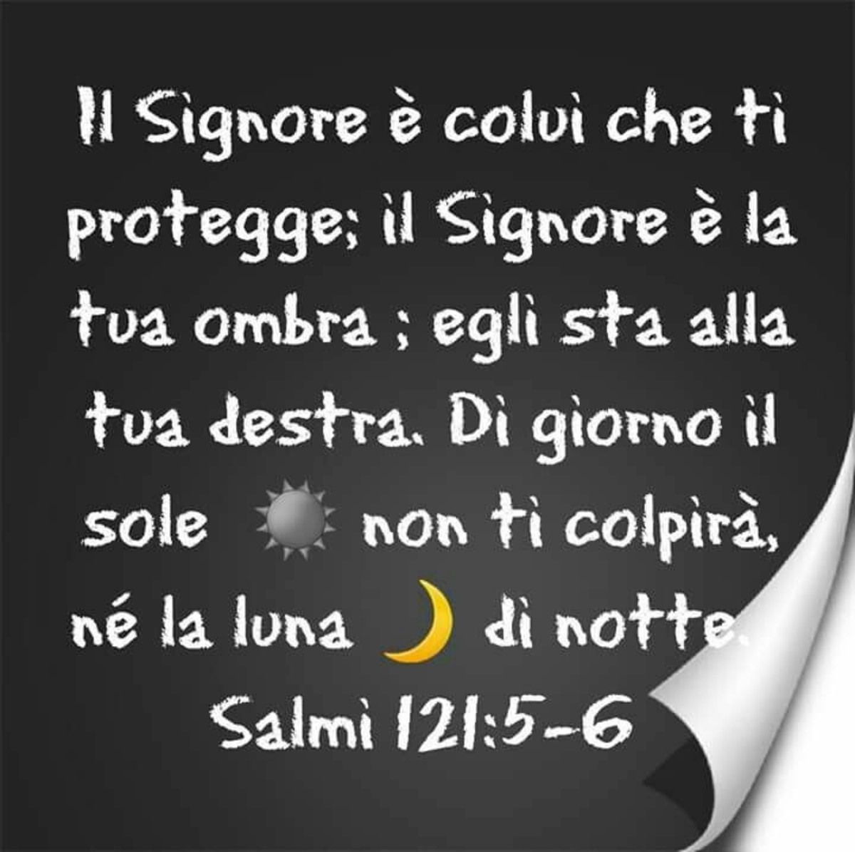 Salmi frasi 6235