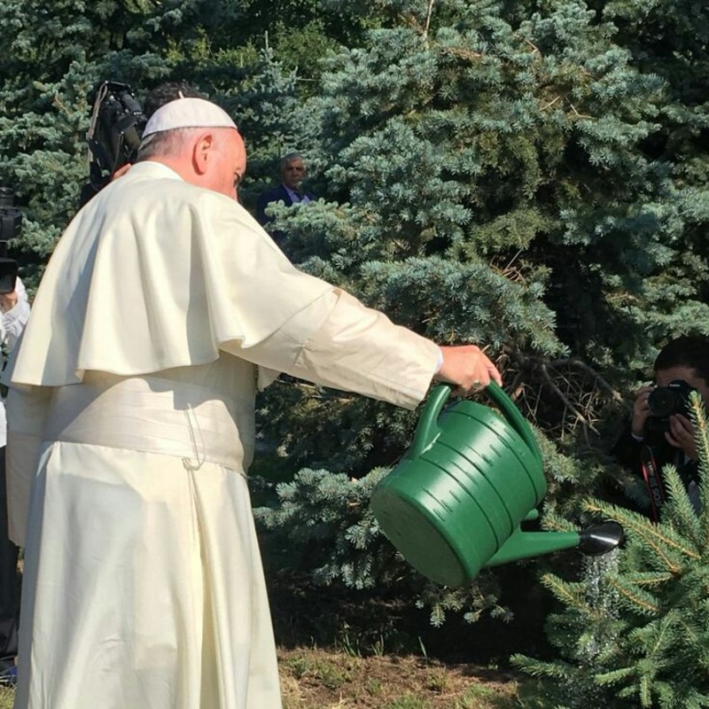 Scarica e condividi immagini Citazioni Papa Francesco (5)