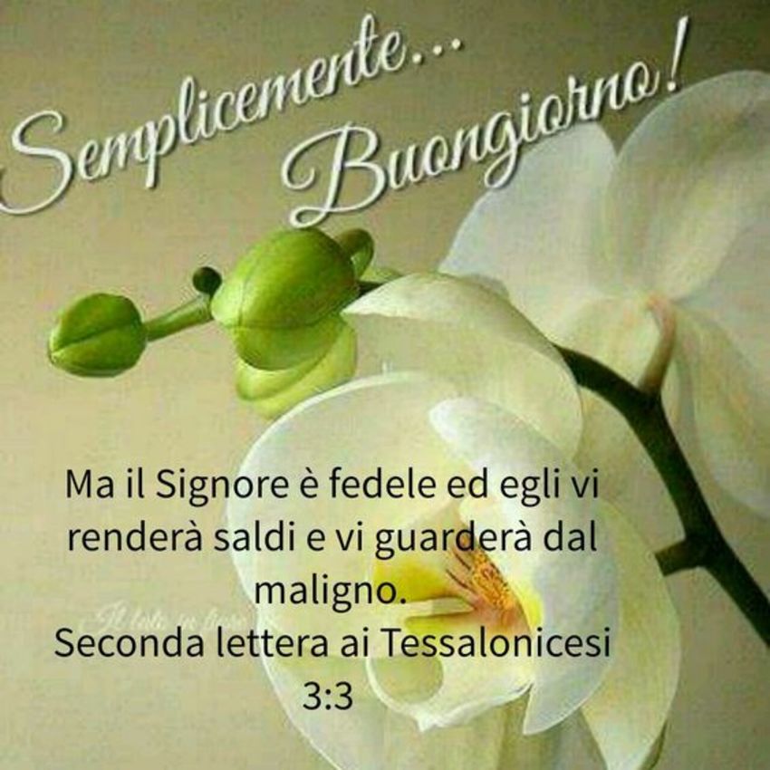 Semplicemente Buongiorno immagini sacre Dio