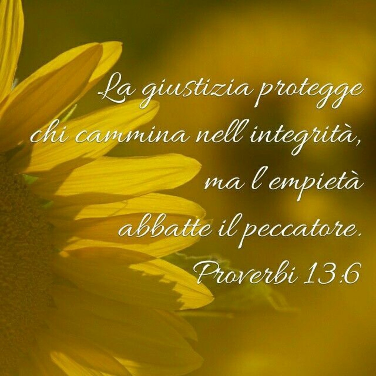 Versetti del Vangelo Dio 8261