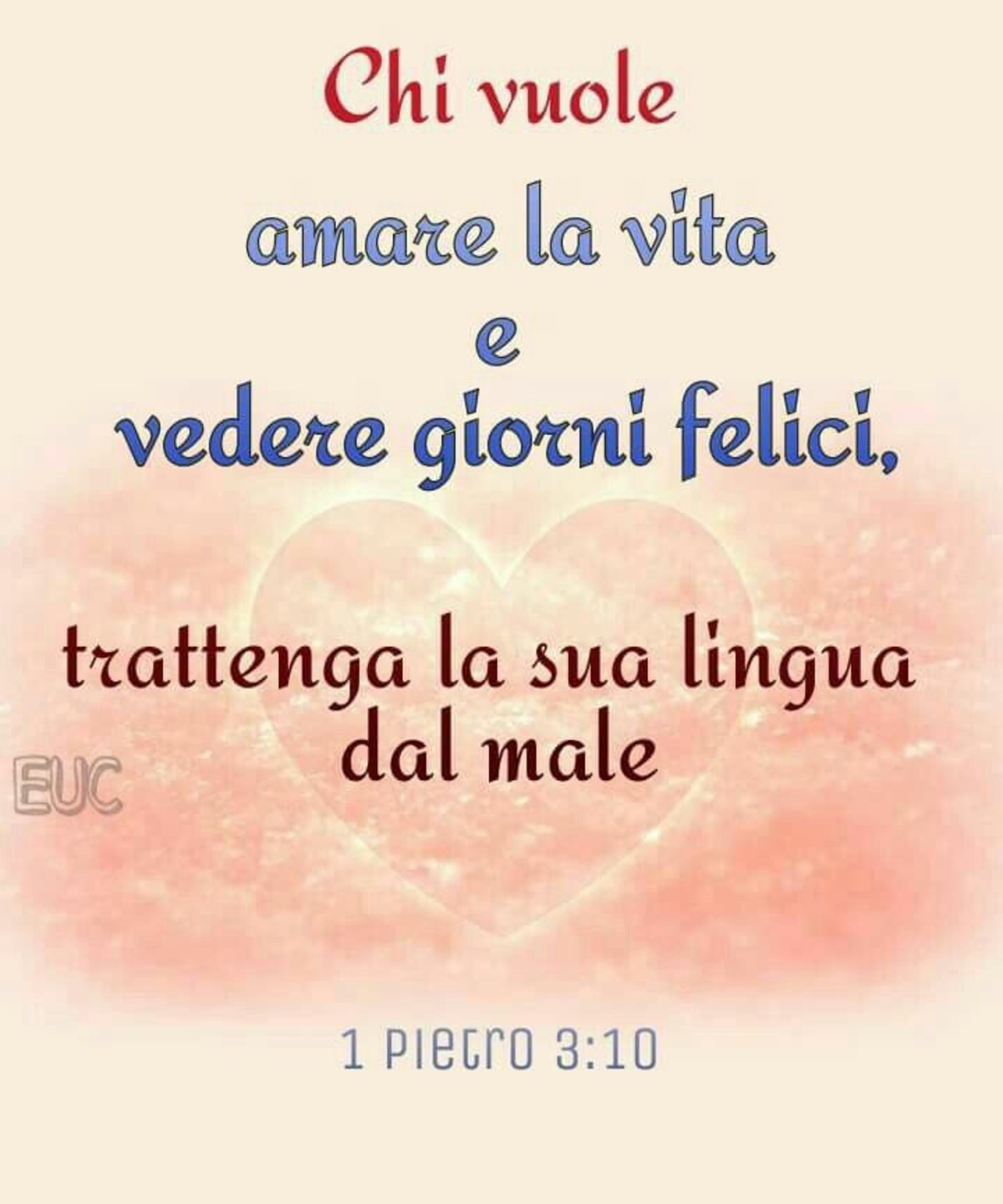 Versetti del Vangelo Gesù 8