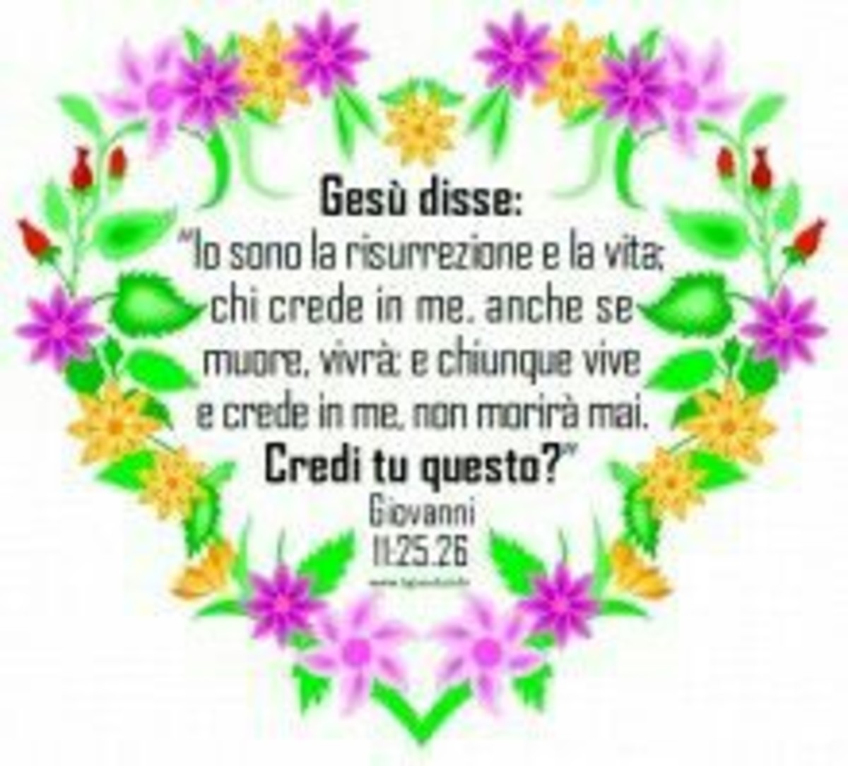 Versetti del Vangelo Gesù 8102