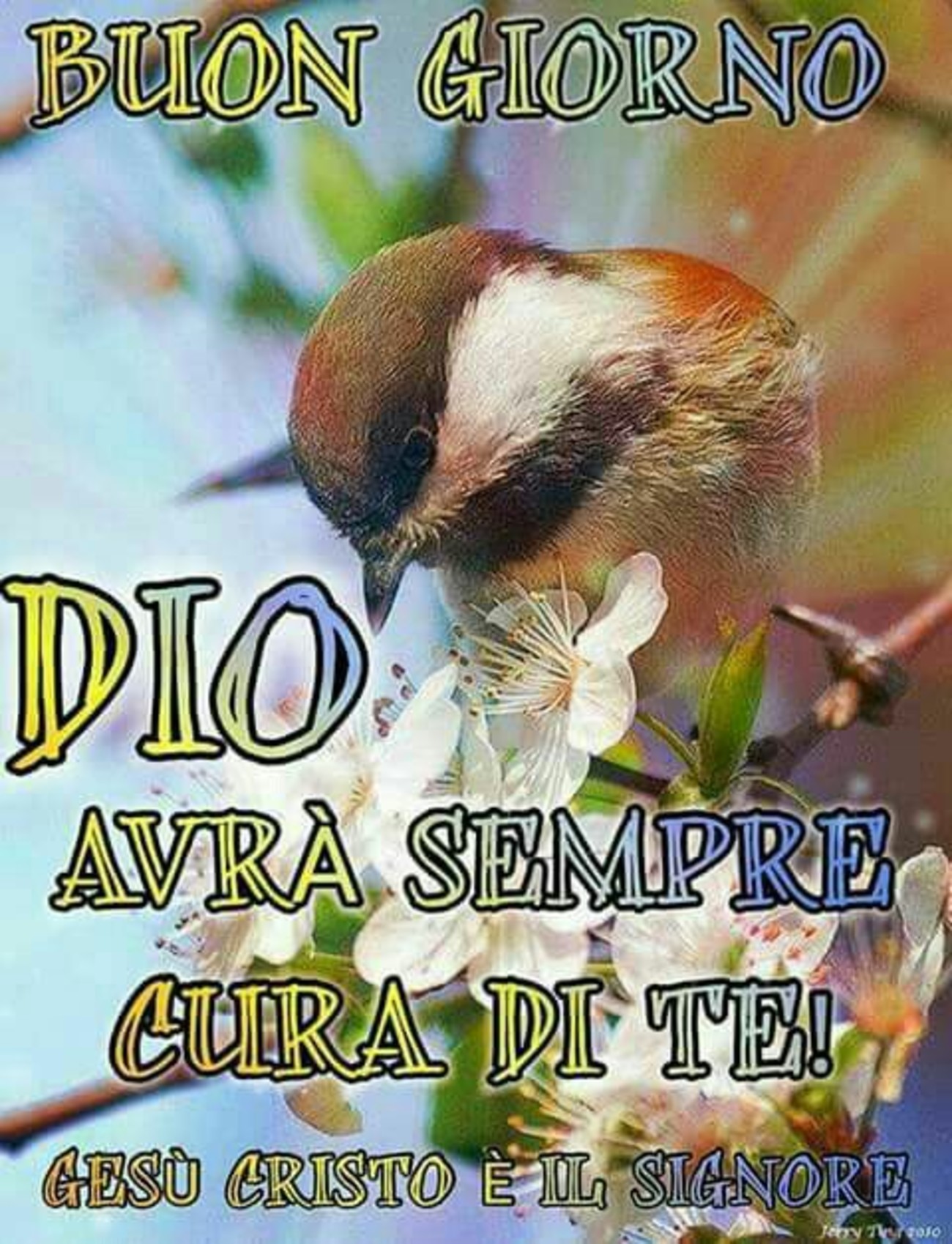 Buon Giorno Con Dio Gesutiama It