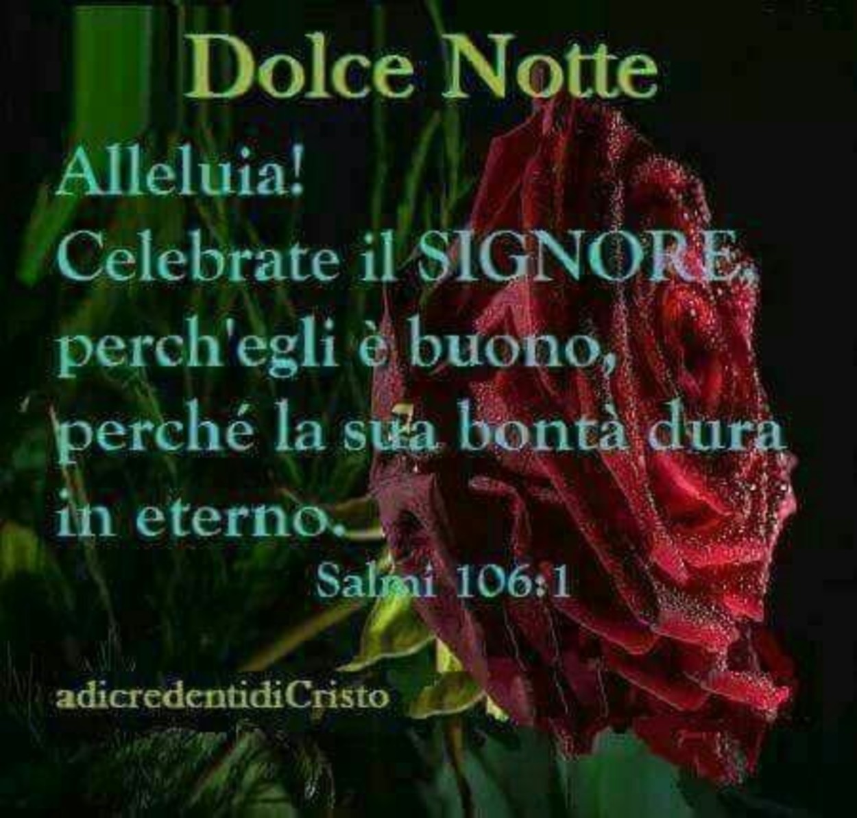 Dolce Notte Alleluja