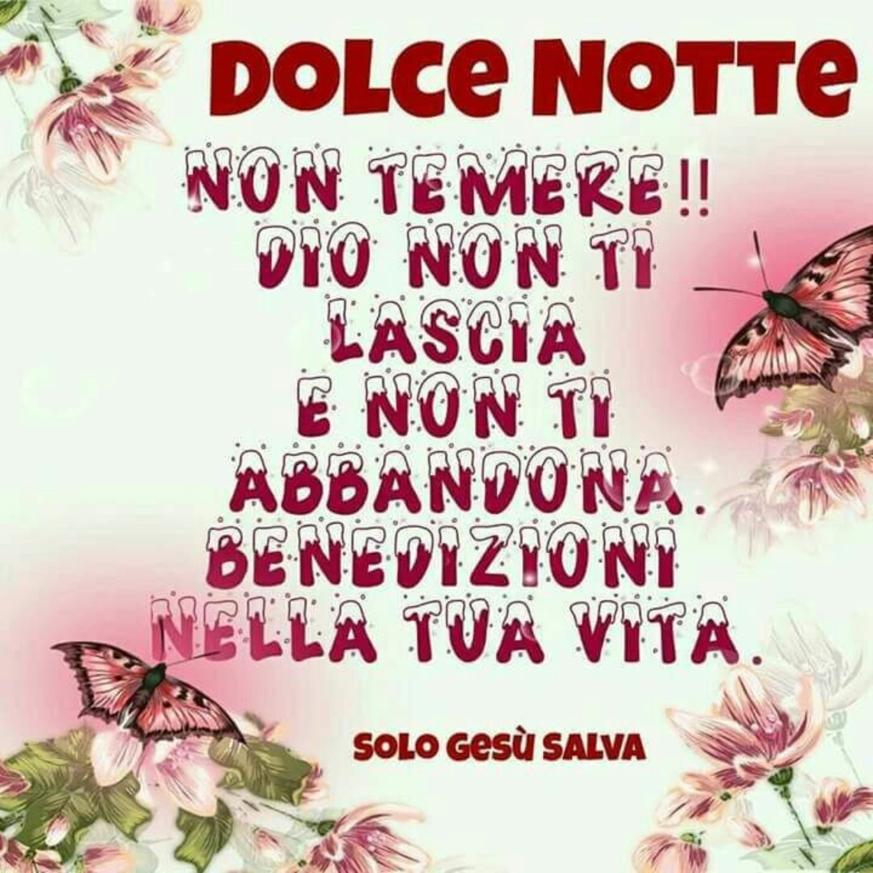 Dolce Notte con Gesù