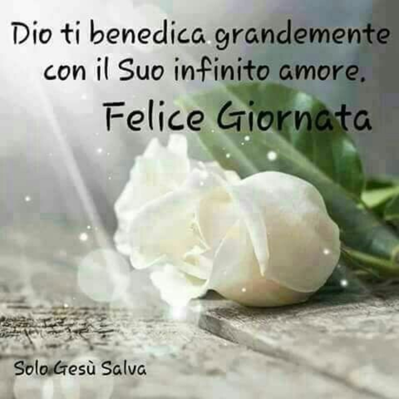 Felice Giornata Dio ti benedica
