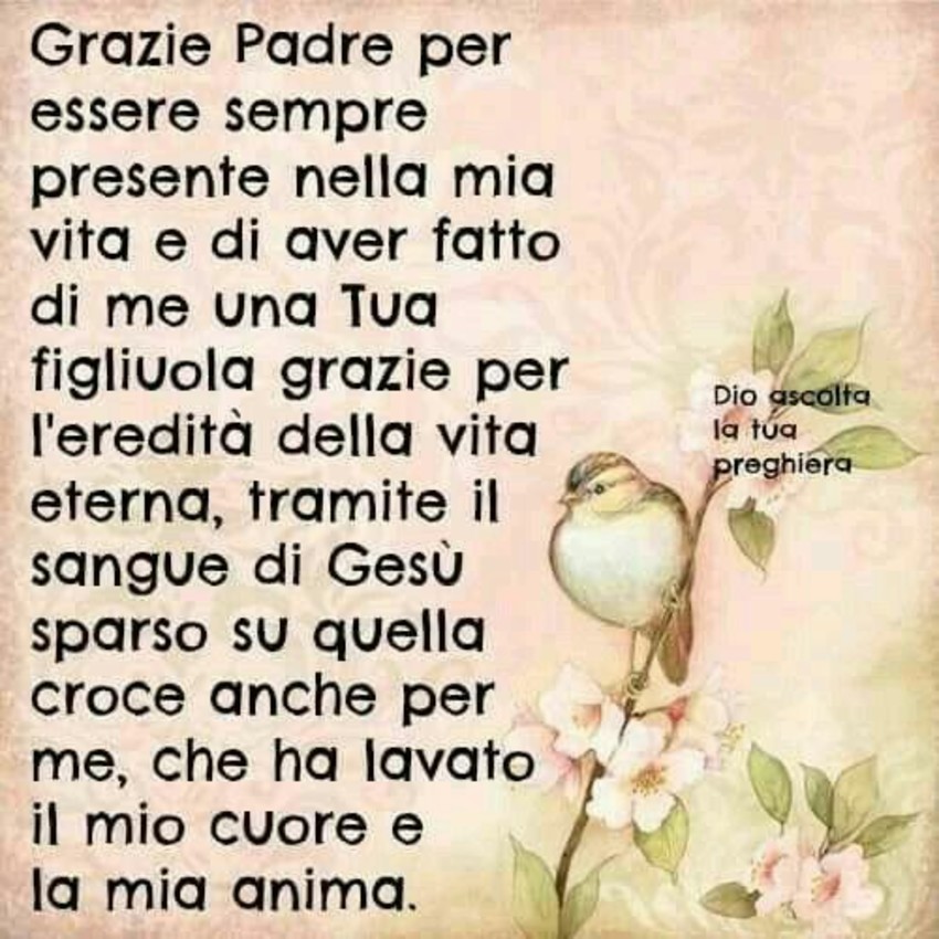 Grazie Padre per essere sempre presente immagini Preghiere