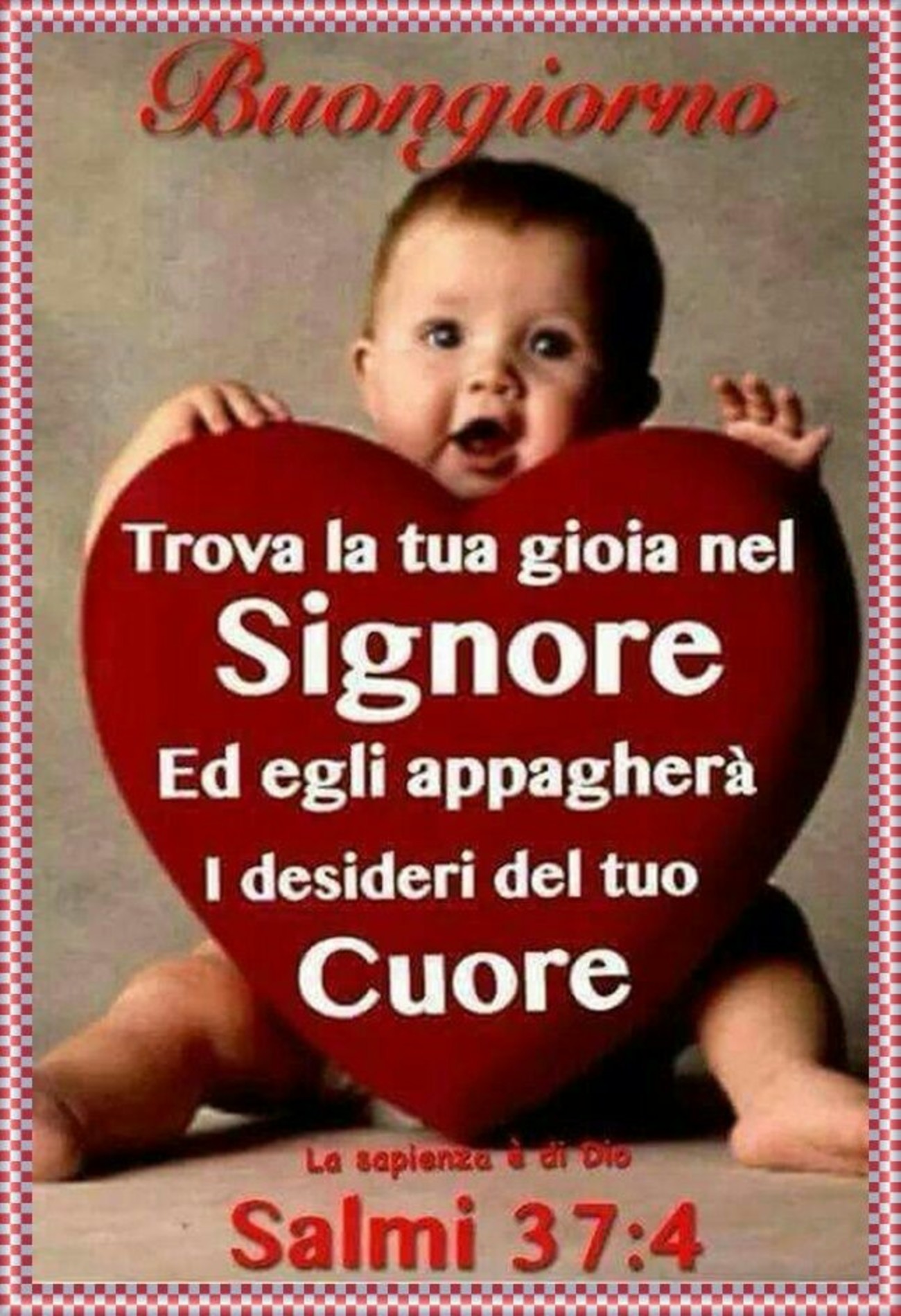 Immagini buongiorno nel Signore 6088