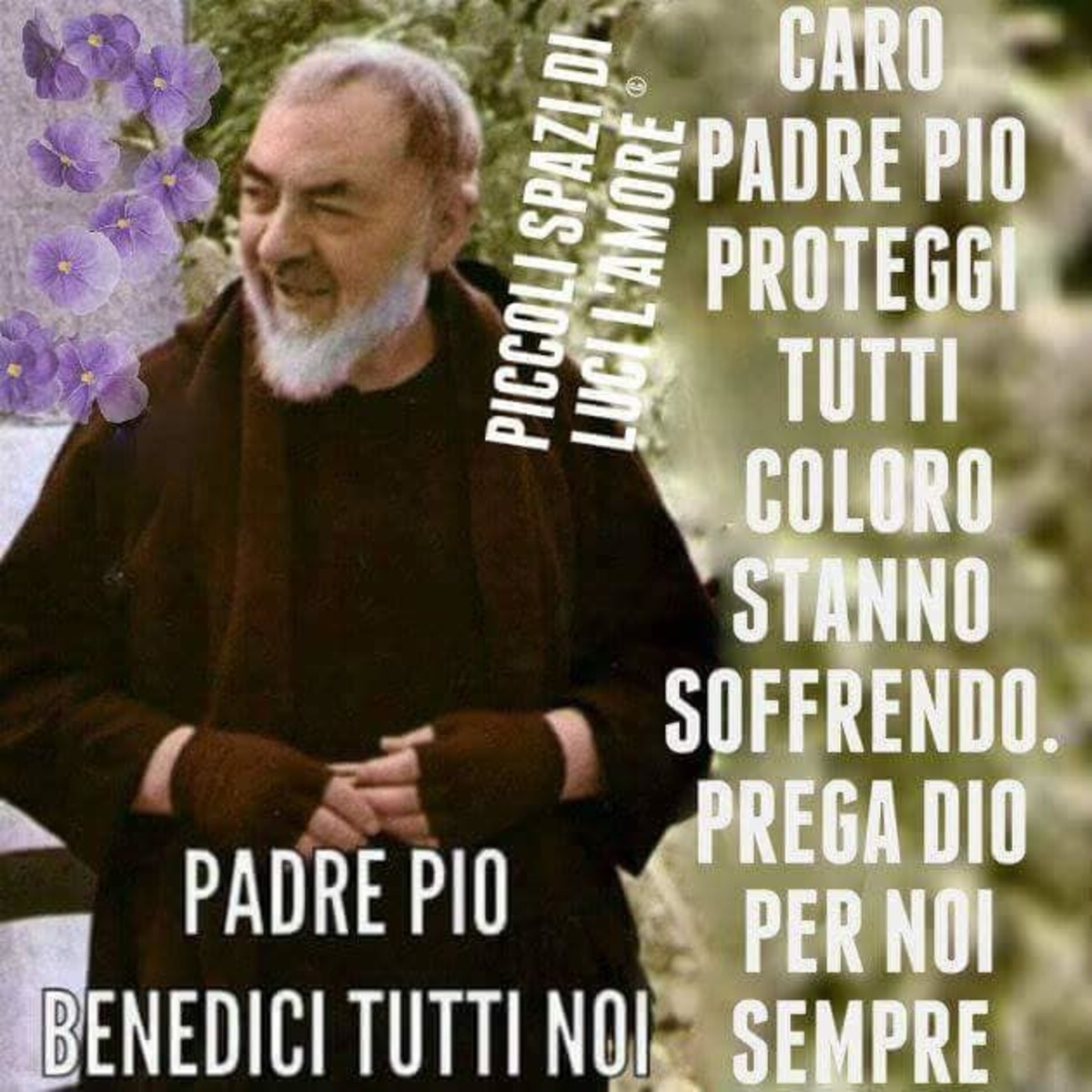 Bellissime Immagini di Padre Pio 4445