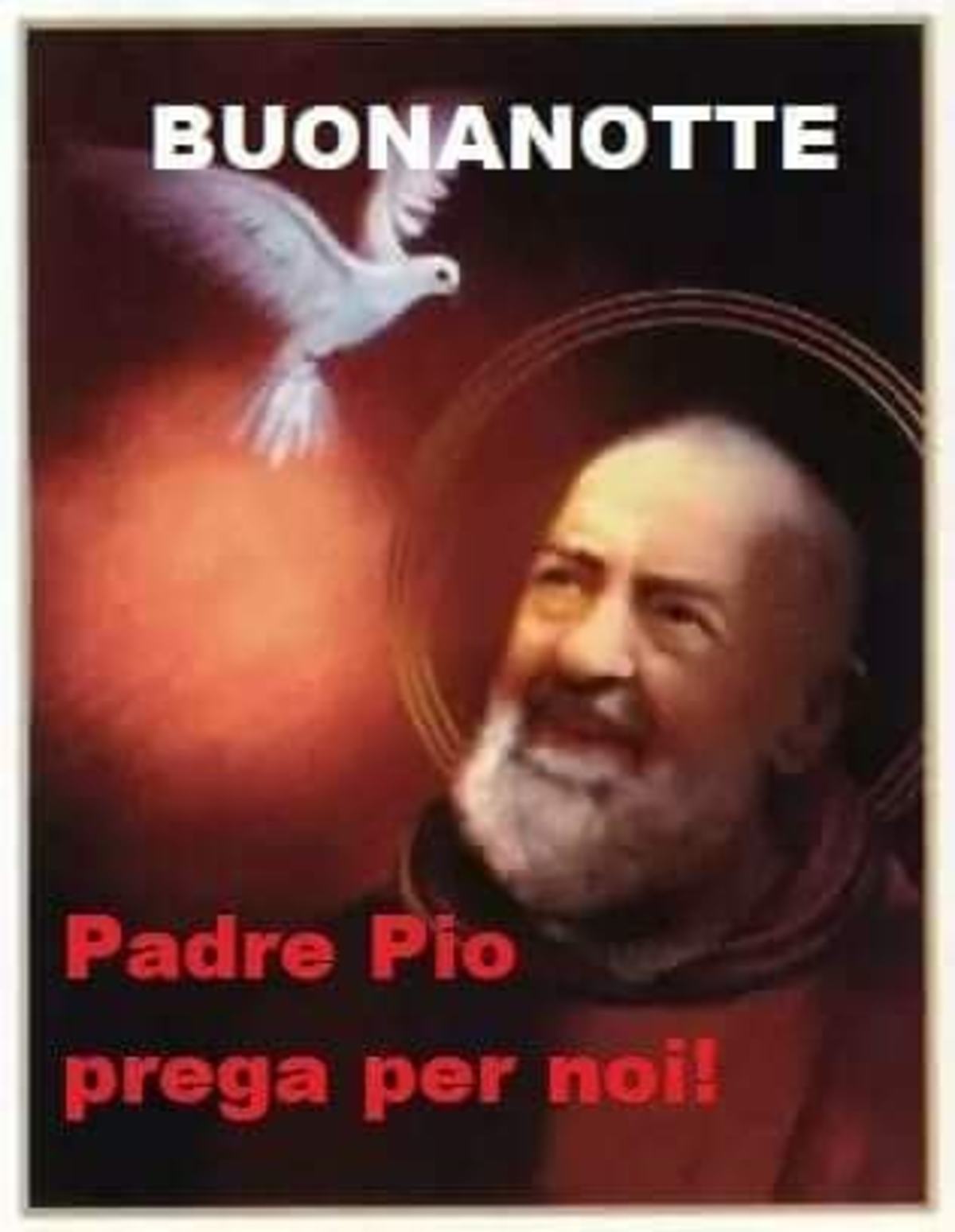 Buonanotte Padre Pio prega per noi