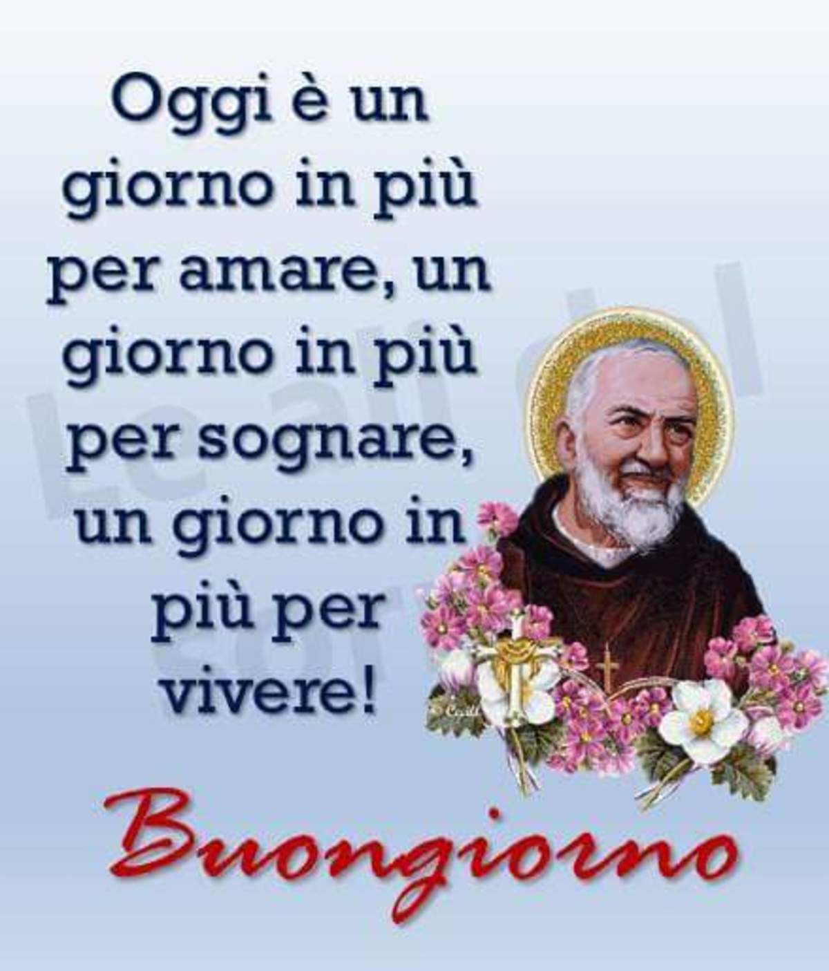 Buongiorno Padre Pio frase