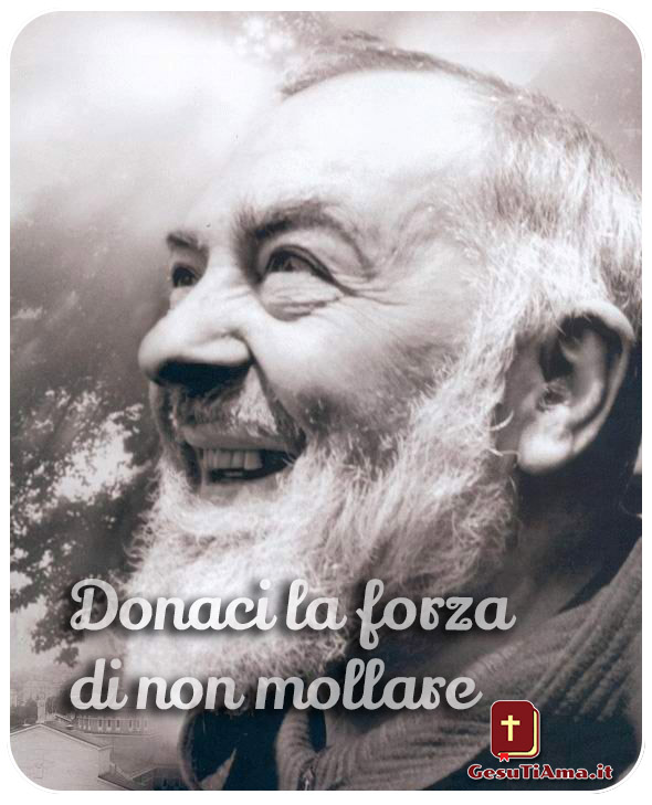 Le frasi di San Pio più belle immagini religiose