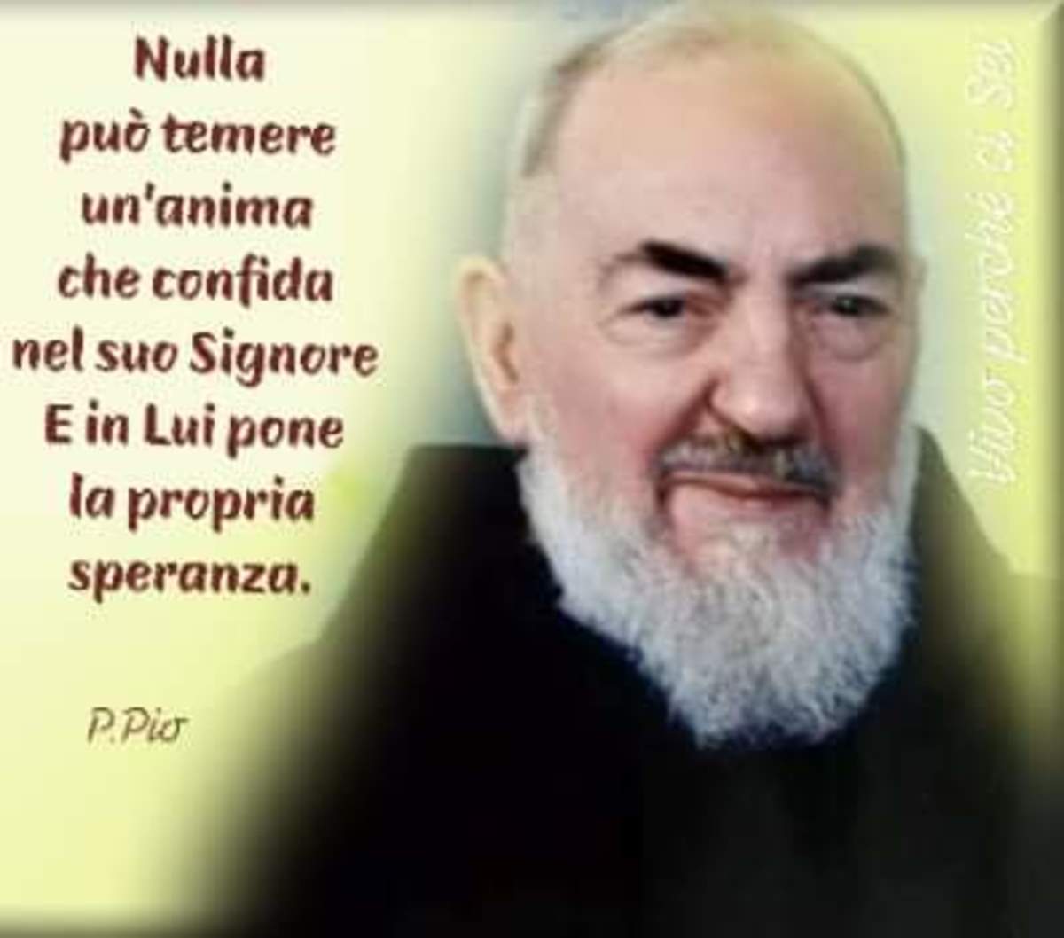 Padre Pio immagini 2277