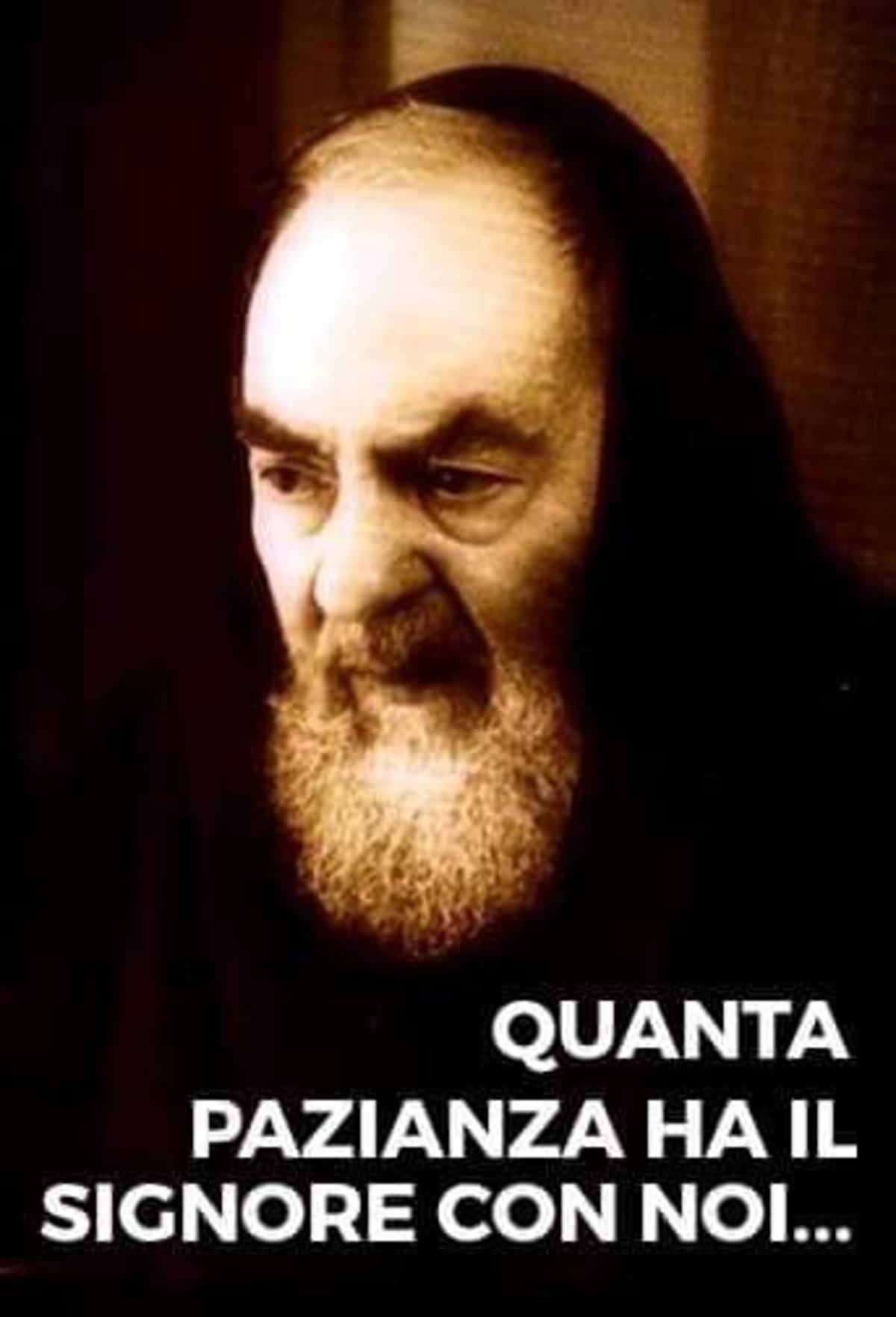 Padre Pio immagini belle Pinterest 6804