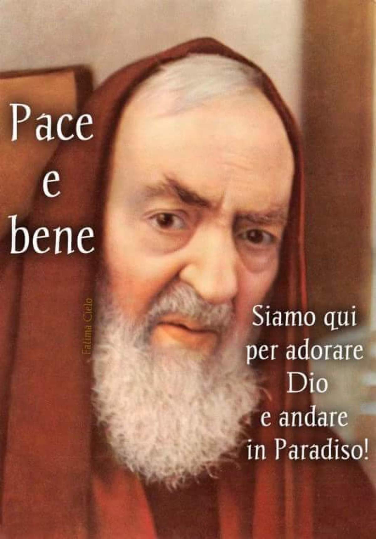 Padre Pio immagini sacre 6150