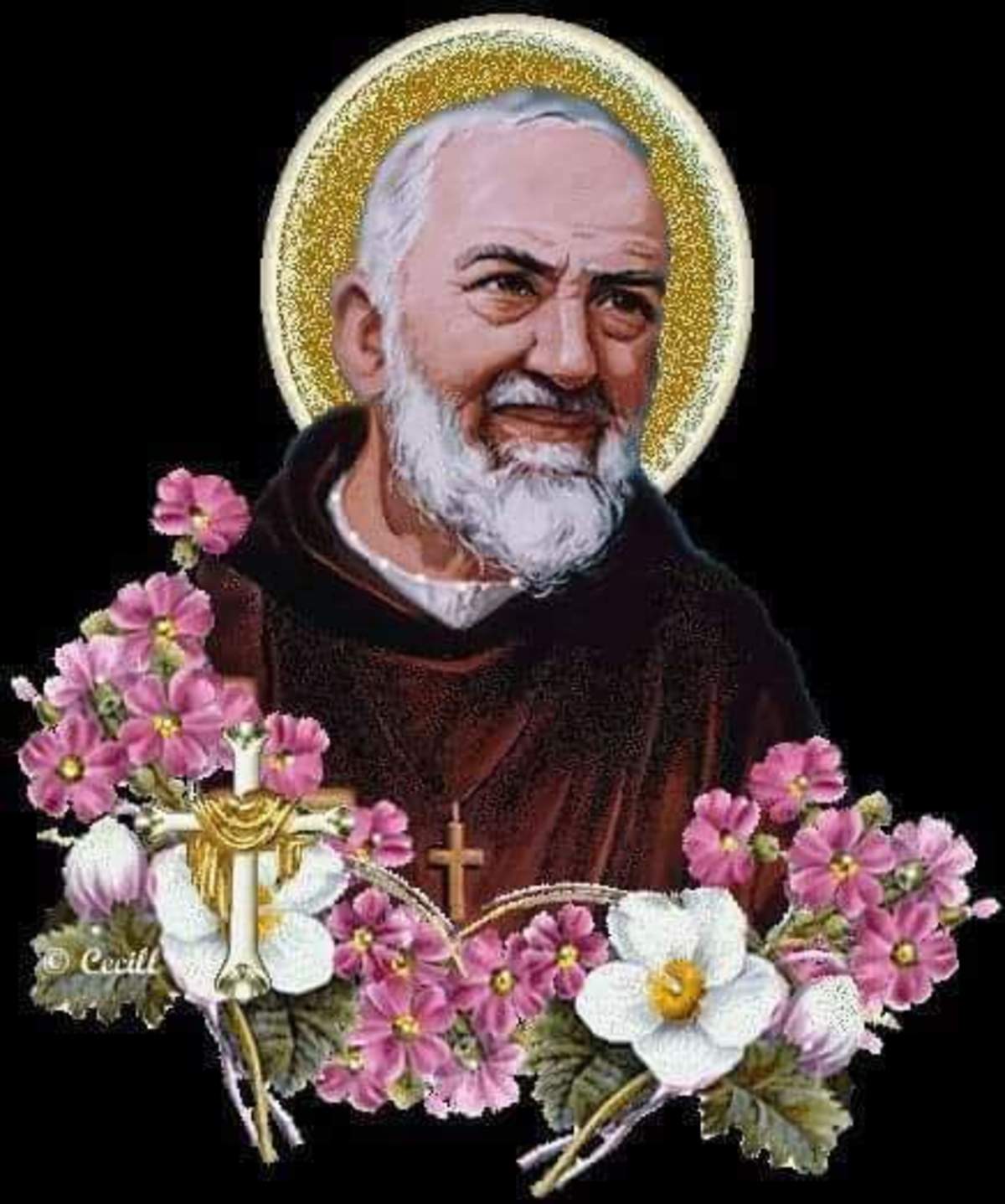 Padre pio immagini e frasi 3821