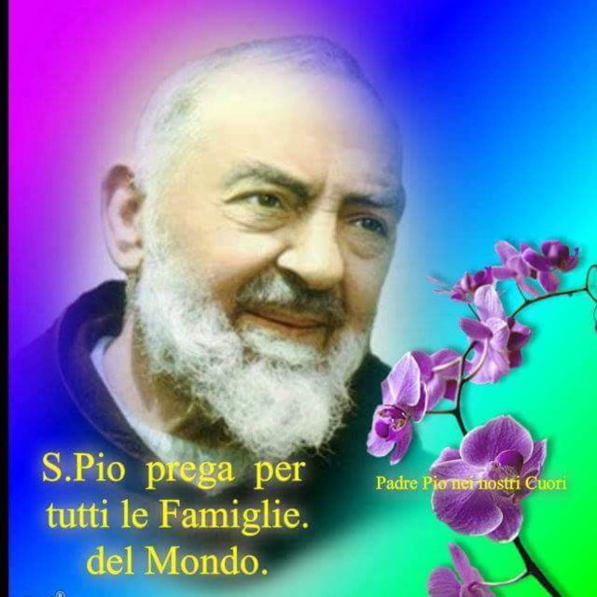 San Pio 1985