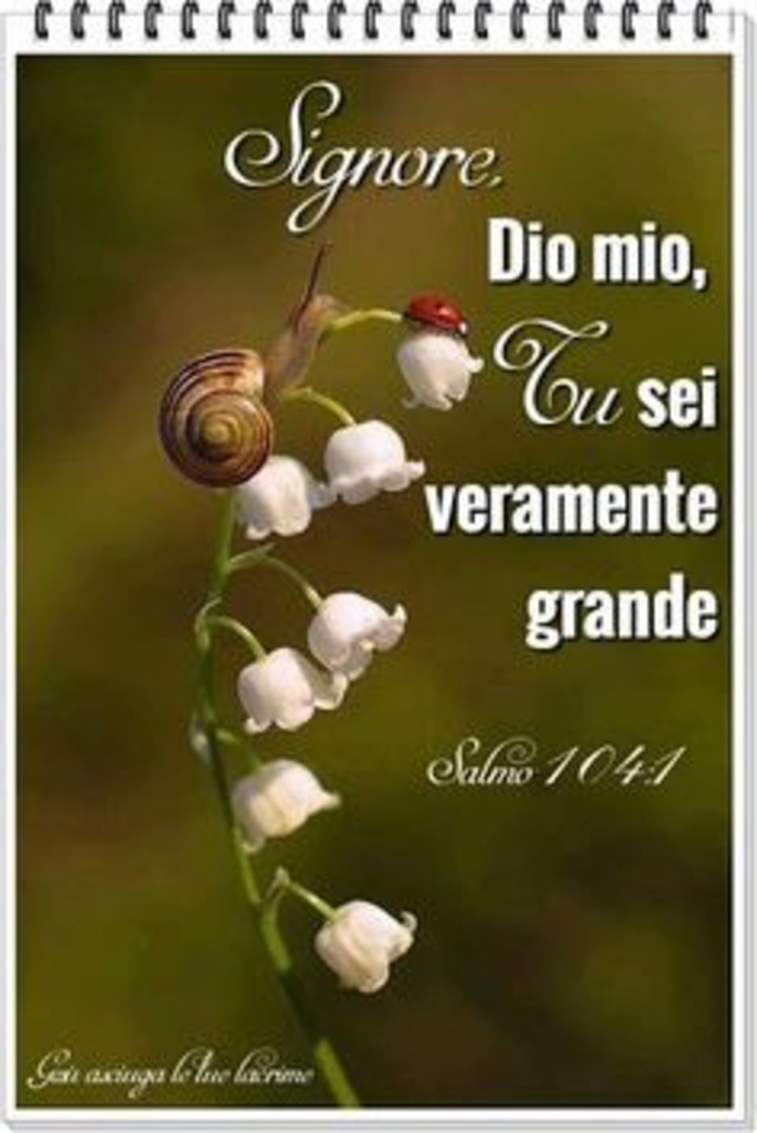 Belle immagini Buongiorno religiose 6825