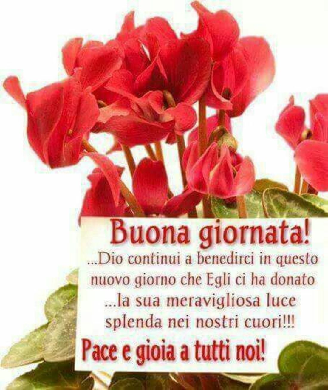 Buona Giornata pace e gioia a tutti noi