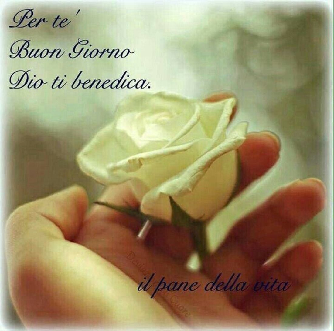 Buongiorno con Dio 1305
