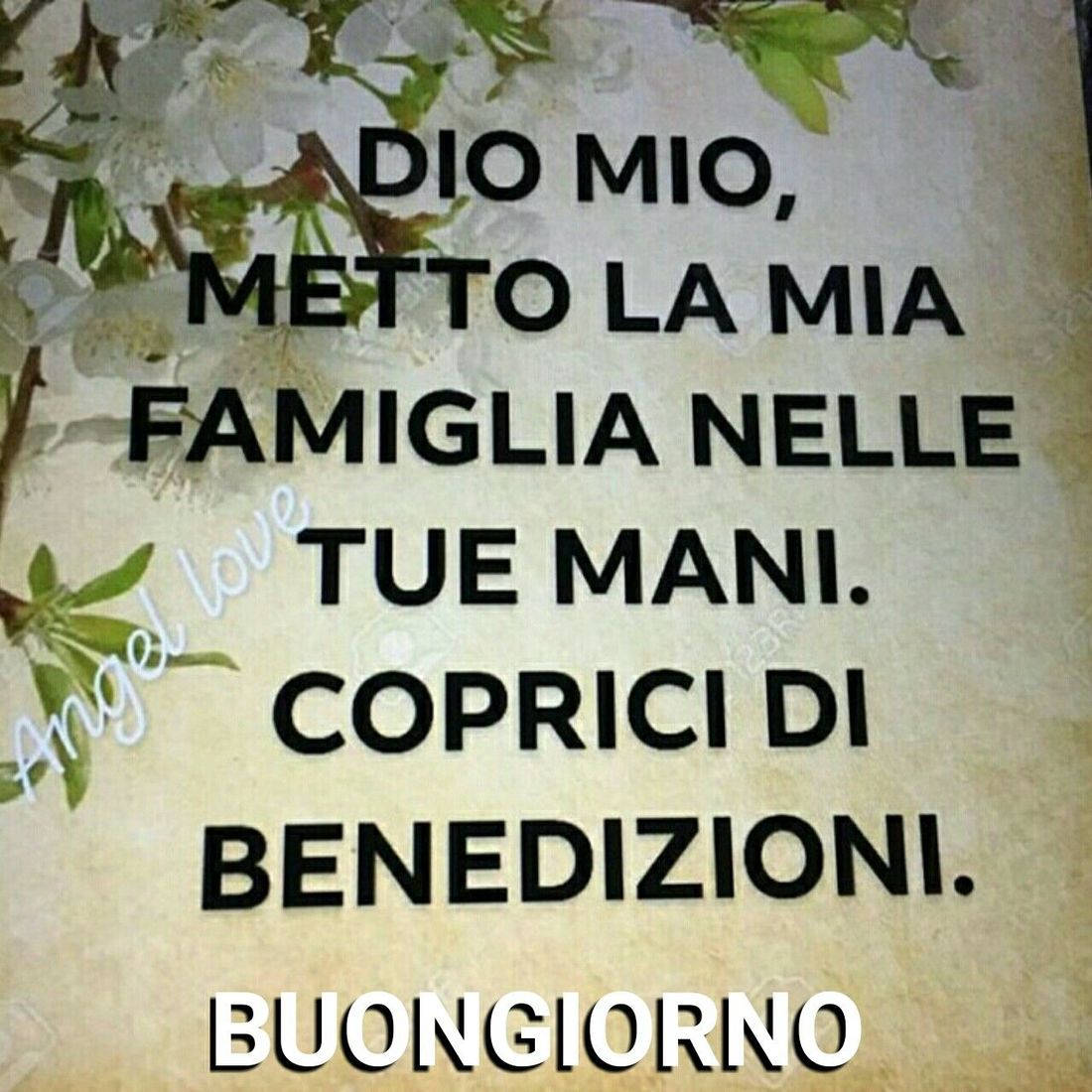 Buongiorno con Maria 1906