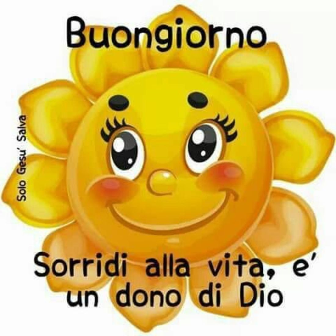 Buongiorno con Maria 2049