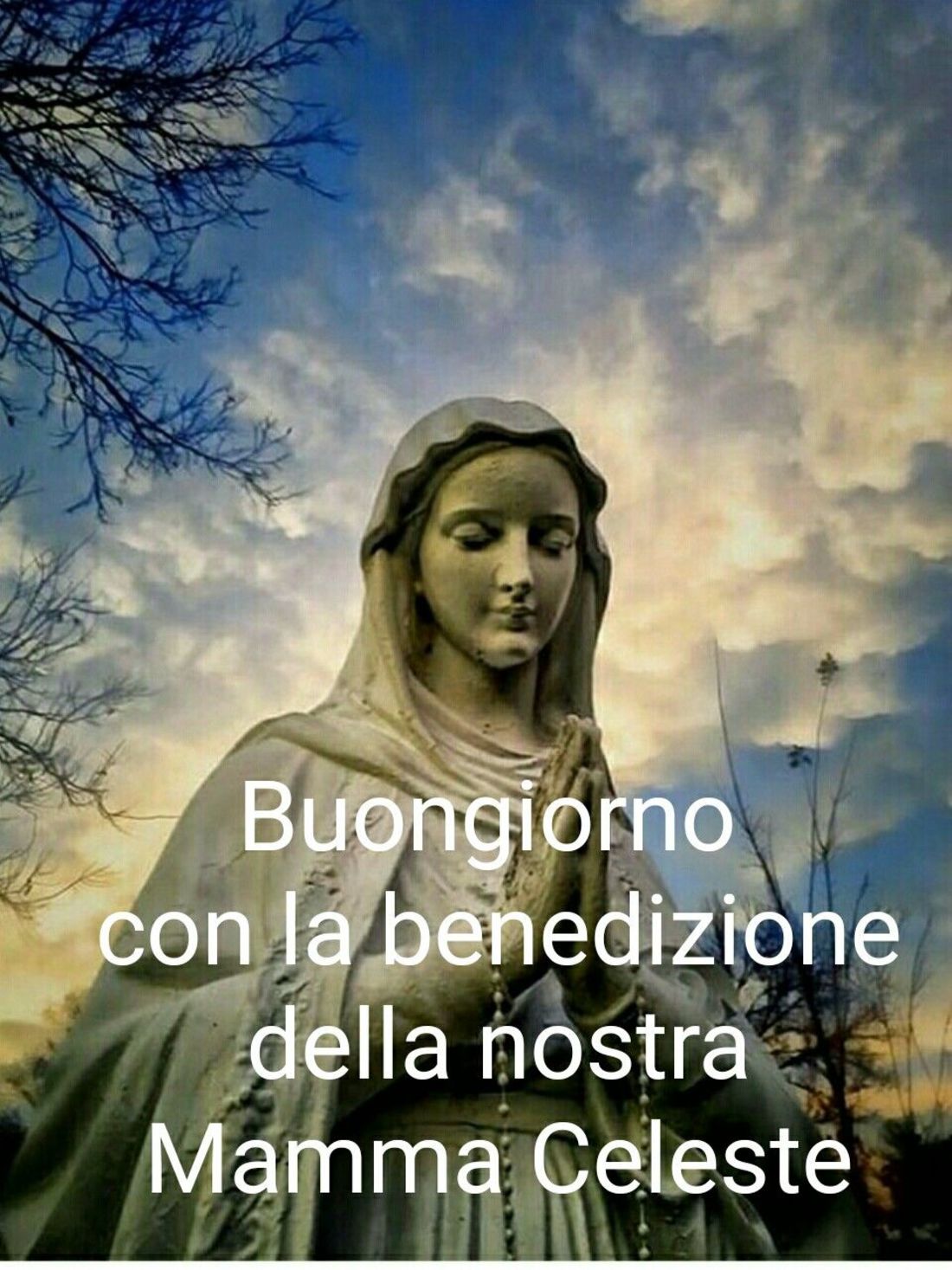 Buongiorno immagini con Maria 2508