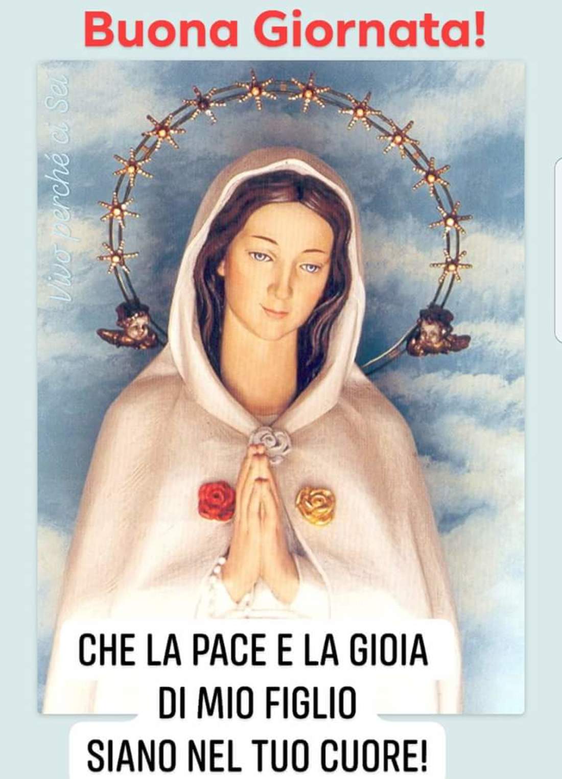 Buongiorno immagini religiose con Maria 2