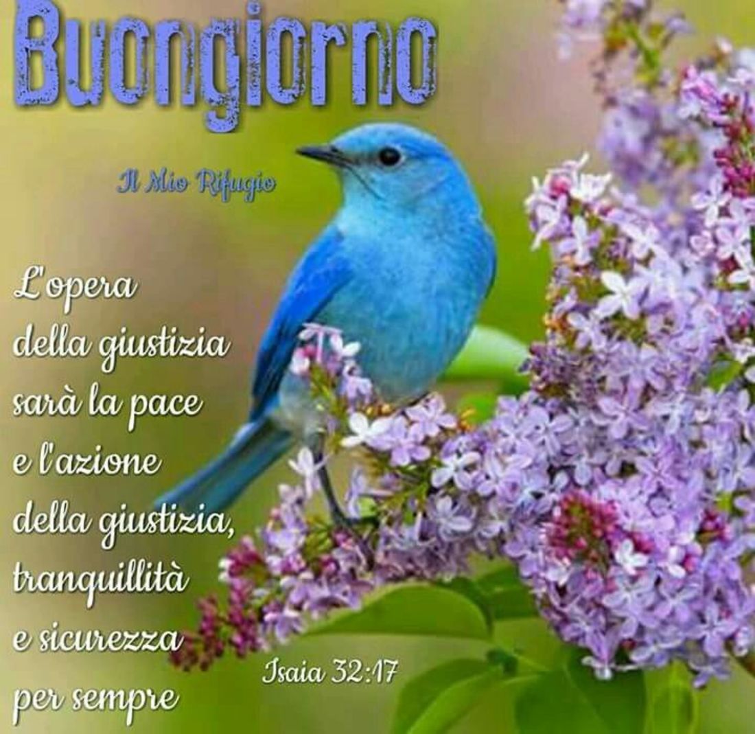 Buongiorno immagini sacre 9691