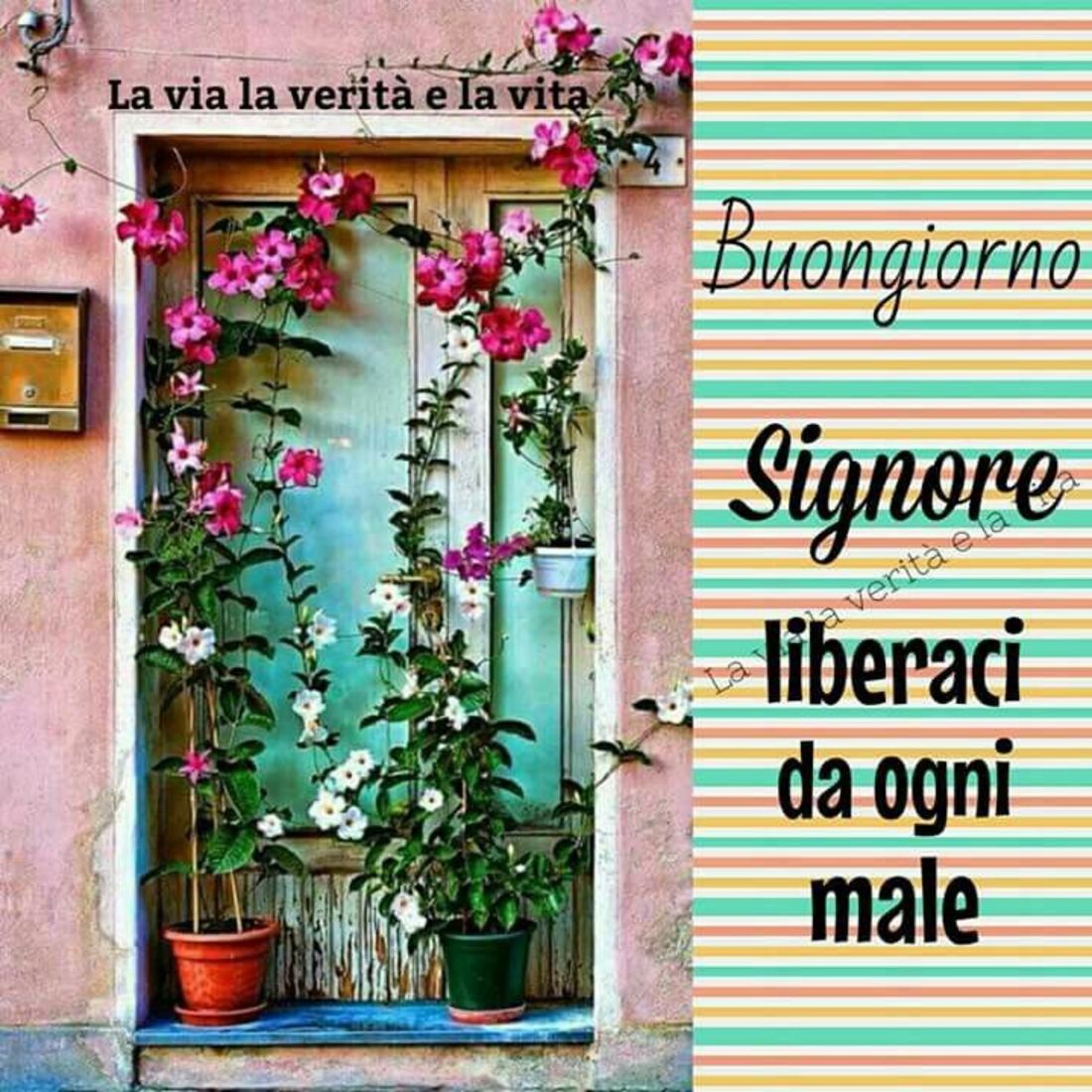 Buongiorno nel Signore