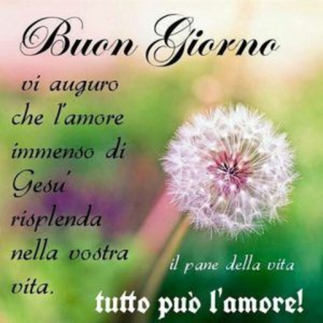 Foto religiose per Buongiorno 8626