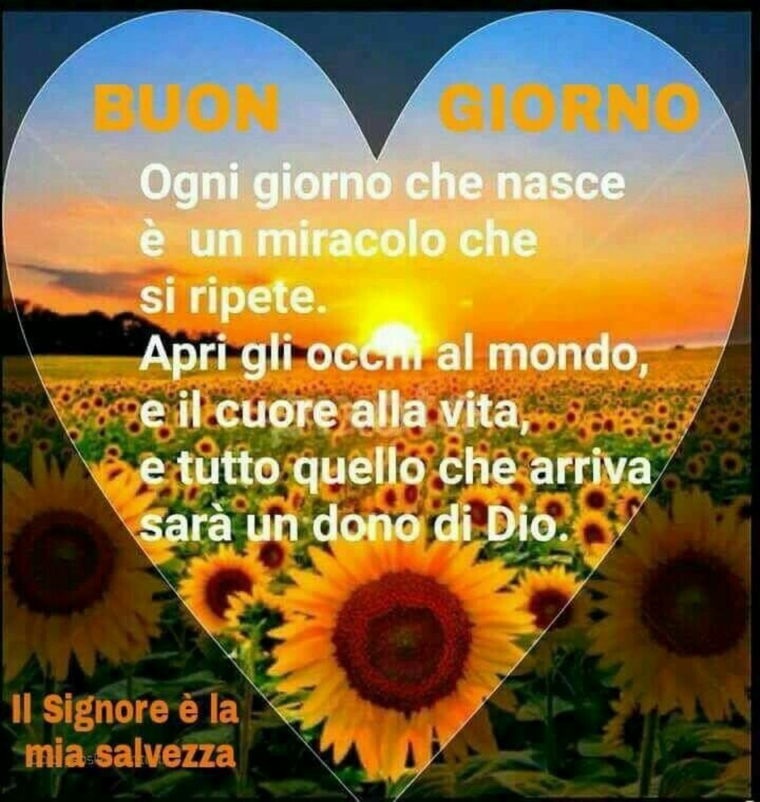 Foto religiose per Buongiorno 8683